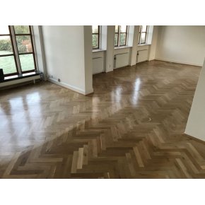 Egetrs sildebensparket afslebet og behandlet m. hvidpigmenteretsbe