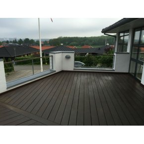 Terrasse fr afslibningen. Oliepigmenteret mrkt tr terrasse som nskes afslebet til genoliering.